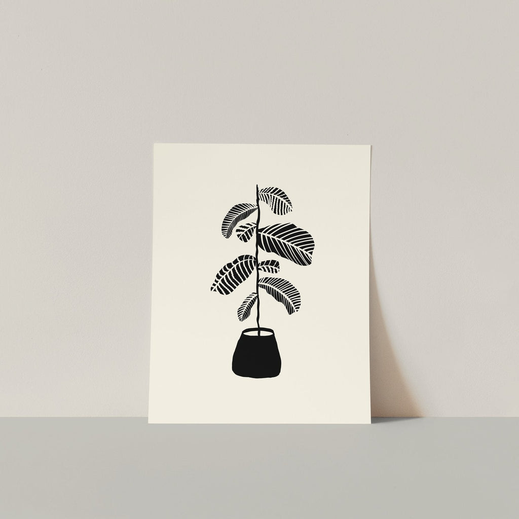 Gab Art Design Prints - Pattern Plant | Phoenix General