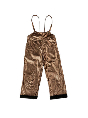 Punkwasp Headliner Overalls - Metallic | Phoenix General