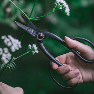 Barebones Artisan Pruning Shears | Phoenix General