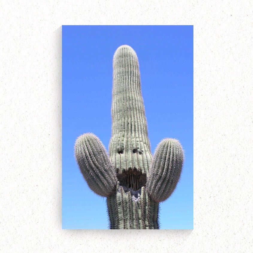 PHX GEN Prints - Happy Cactus | Phoenix General