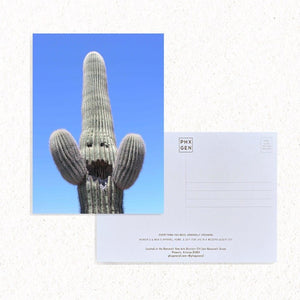 PHX GEN Postcards - Happy Cactus | Phoenix General