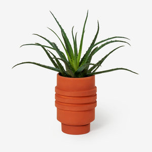 Areaware Strata Plant Vessel - Terracotta | Phoenix General