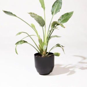 Yield | Yield 8” Spun Planter - Black | Garden - Planters | Phoenix General Store